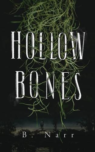 Cover image for Hollow Bones