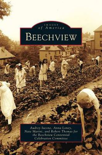 Cover image for Beechview