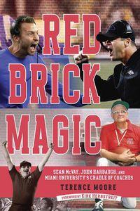 Cover image for Red Brick Magic