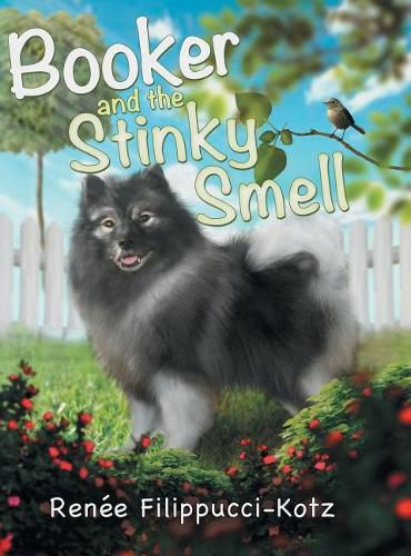 Cover image for Booker and the Stinky Smell