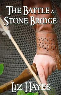 Cover image for The Battle at Stone Bridge: a short story