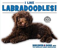 Cover image for I Like Labradoodles!