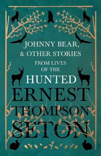 Cover image for Johnny Bear, and Other Stories from Lives of the Hunted