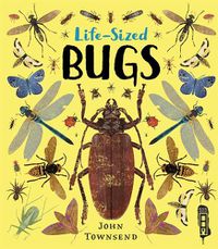 Cover image for Life-Sized Bugs