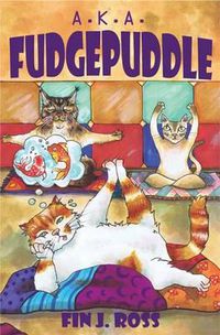 Cover image for A.K.A. Fudgepuddle