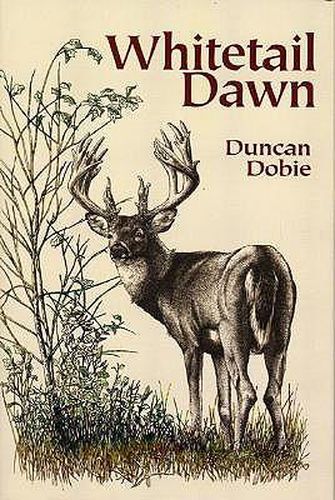 Cover image for Whitetail Dawn