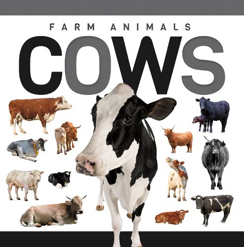 Cover image for Cows
