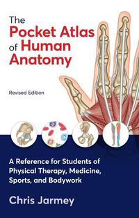 Cover image for The Pocket Atlas of Human Anatomy, Revised Edition: A Reference for Students of Physical Therapy, Medicine, Sports, and Bodywork