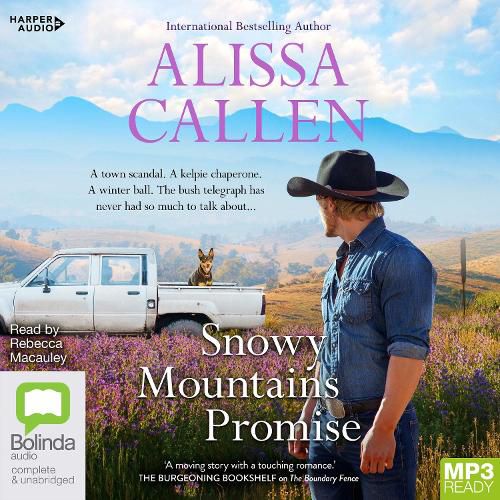 Cover image for Snowy Mountains Promise