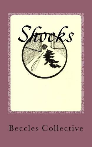 Cover image for Shocks