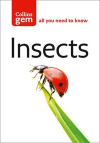 Cover image for Insects