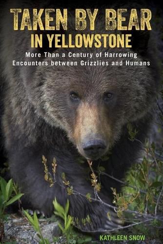 Cover image for Taken by Bear in Yellowstone: More Than a Century of Harrowing Encounters between Grizzlies and Humans