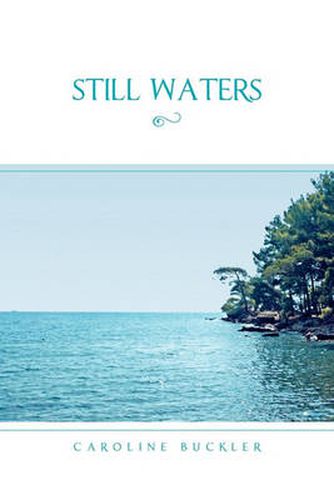 Cover image for Still Waters