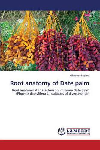 Cover image for Root anatomy of Date palm