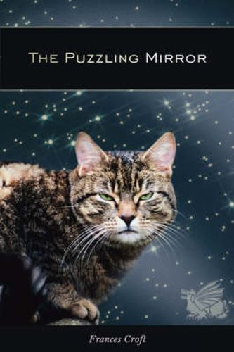 Cover image for The Puzzling Mirror