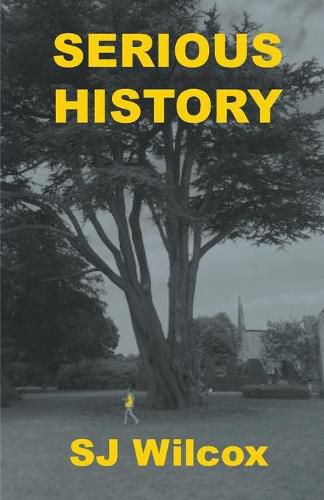 Cover image for Serious History