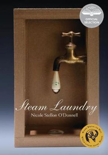 Cover image for Steam Laundry