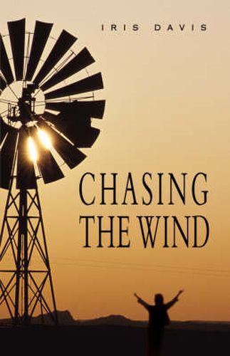 Cover image for Chasing the Wind