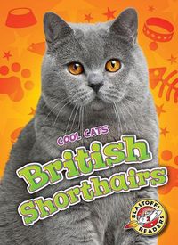 Cover image for British Shorthairs