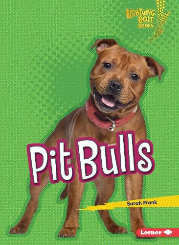 Pit Bulls