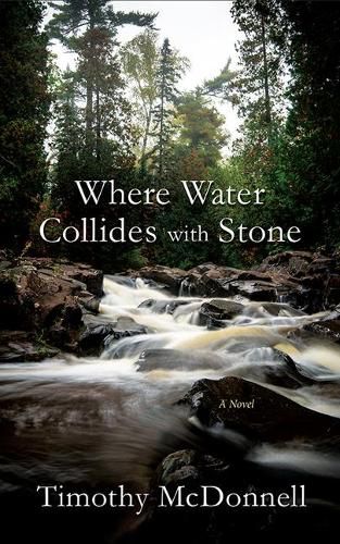 Cover image for Where Water Collides with Stone