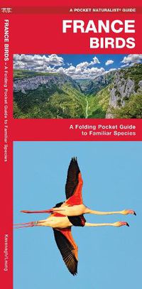 Cover image for France Birds: A Folding Pocket Guide to Familiar Species