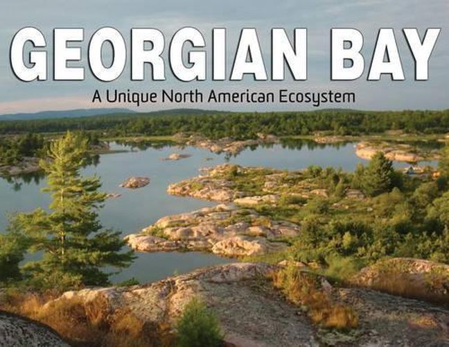 Cover image for Georgian Bay: Discovering a Unique North American Ecosystem
