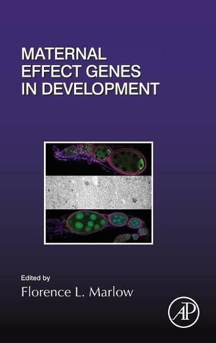 Cover image for Maternal Effect Genes in Development