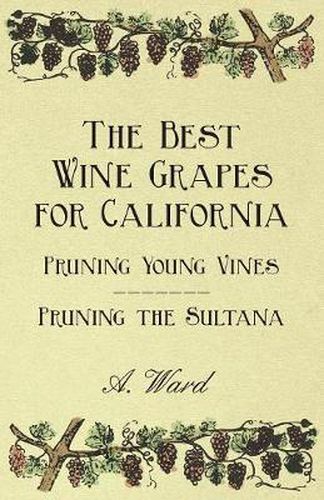 Cover image for The Best Wine Grapes for California - Pruning Young Vines - Pruning the Sultana