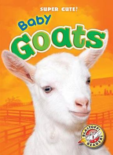 Cover image for Baby Goats