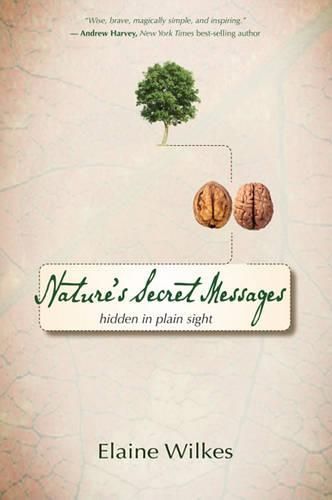 Cover image for Nature's Secret Messages: Hidden in Plain Sight