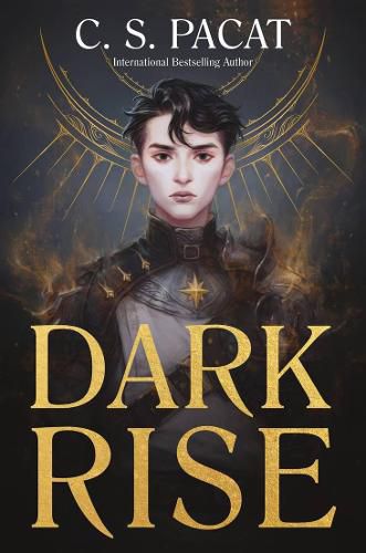 Cover image for Dark Rise (Dark Rise, Book 1)