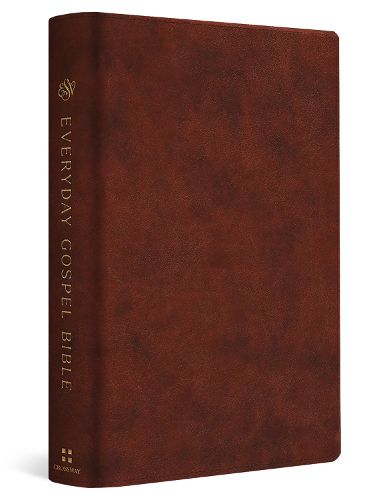 Cover image for ESV Everyday Gospel Bible