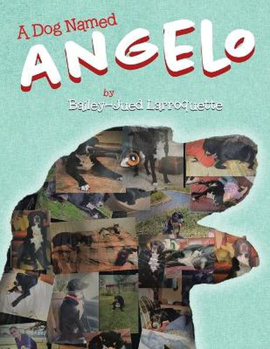 Cover image for A Dog Named Angelo