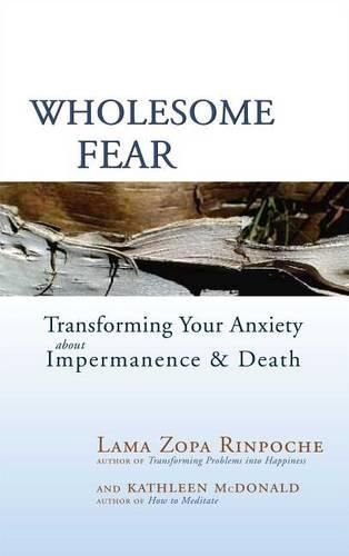 Cover image for Wholesome Fear: Transforming Your Anxiety About Impermanence and Death