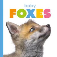 Cover image for Baby Foxes