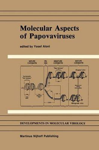 Cover image for Molecular Aspects of Papovaviruses