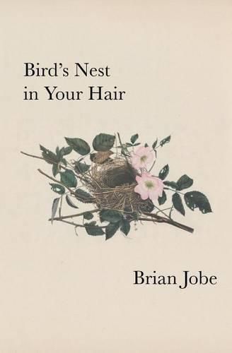 Cover image for Birds Nest In Your Hair