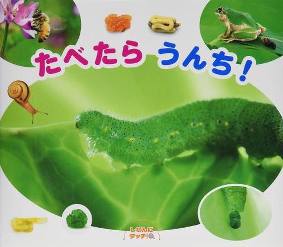 Cover image for Eat and Poo