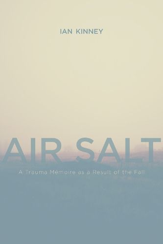 Cover image for Air Salt: A Trauma Memoire as a Result of the Fall