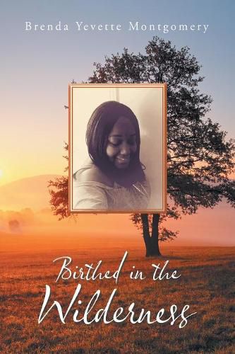 Cover image for Birthed in the Wilderness