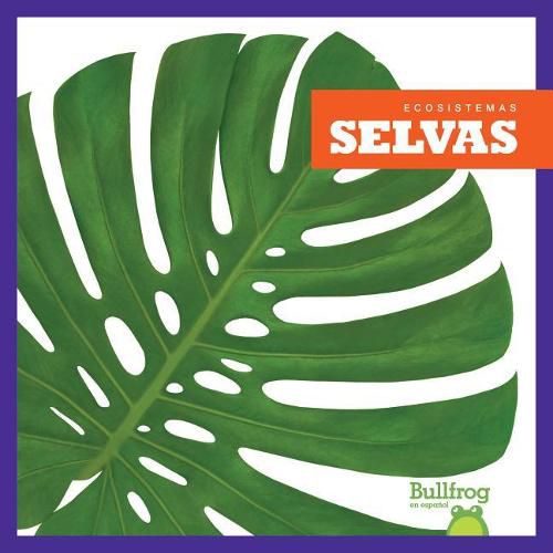 Selvas (Rain Forests)