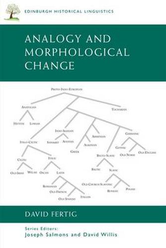Cover image for Analogy and Morphological Change