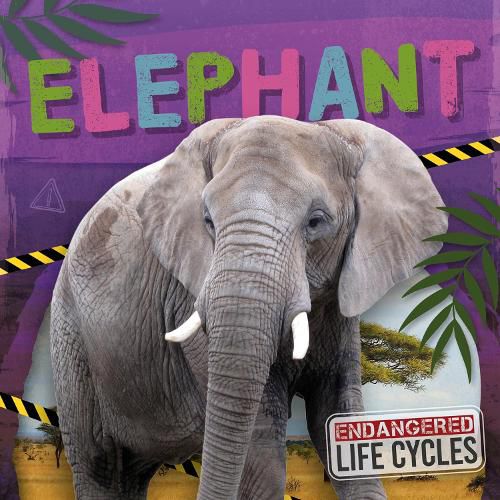 Cover image for Elephant