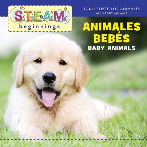 Baby Animals/Animales de Bebe