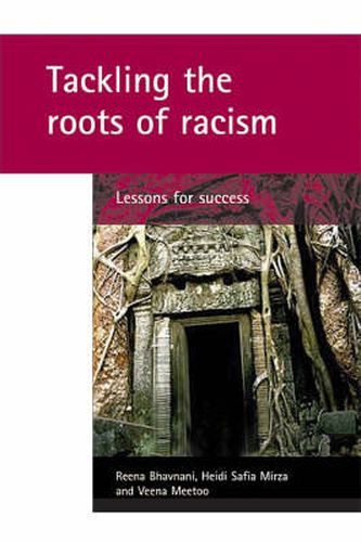 Cover image for Tackling the roots of racism: Lessons for success