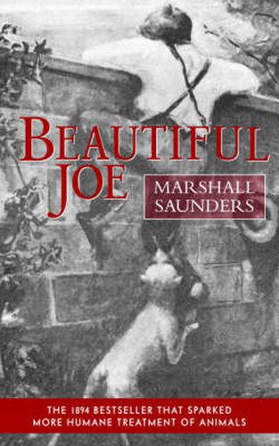 Cover image for Beautiful Joe (Paperback)