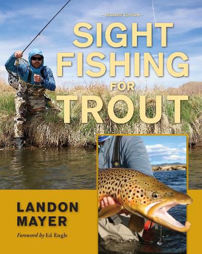 Cover image for Sight Fishing for Trout