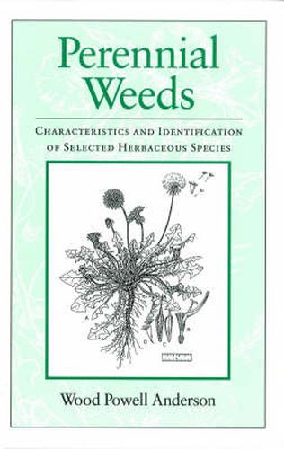 Cover image for Perennial Weeds: Characteristics and Identification of Selected Herbaceous Species