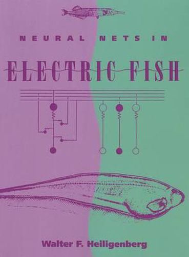 Neural Nets in Electric Fish
